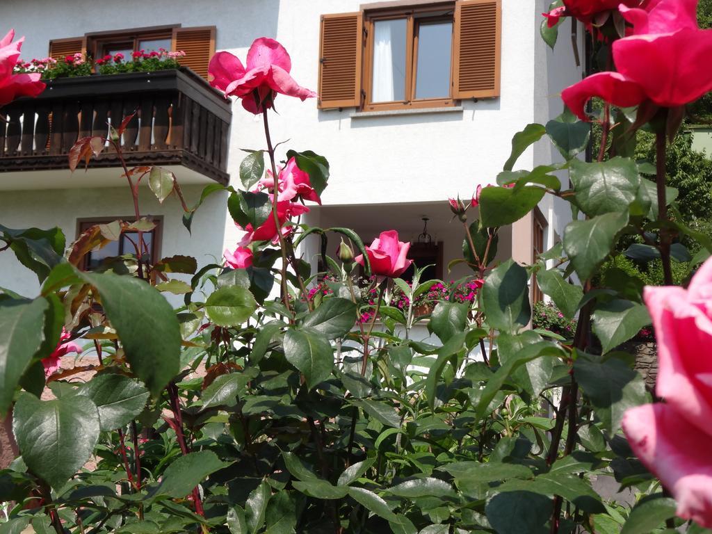 Aparthotel Schützenhof Sattendorf Exterior foto